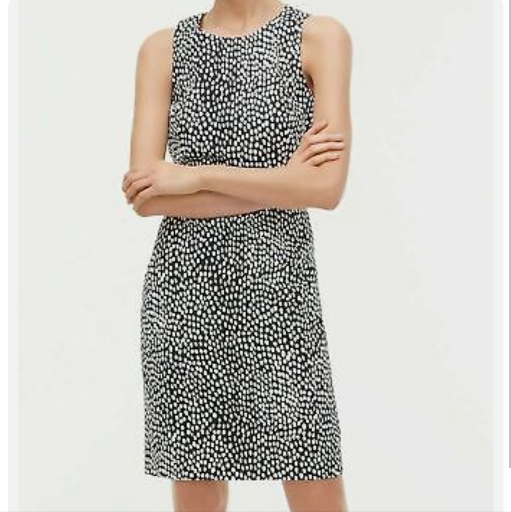 J.Crew Navy White Oncilla Animal Sheath Dress - Size 4